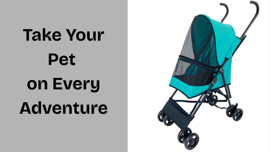 Take Your Pet on Every Adventure