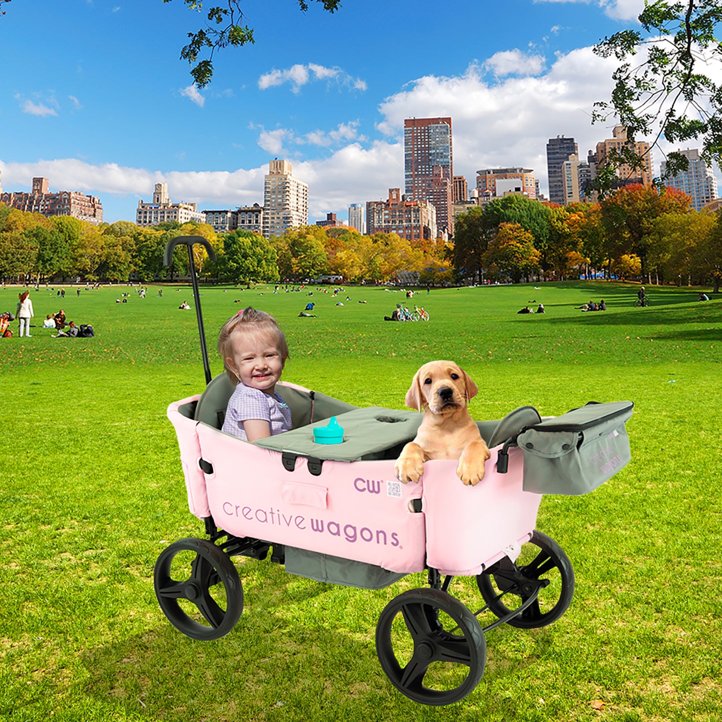 Wagon Buggy | Pink - Custom Folding Wagons