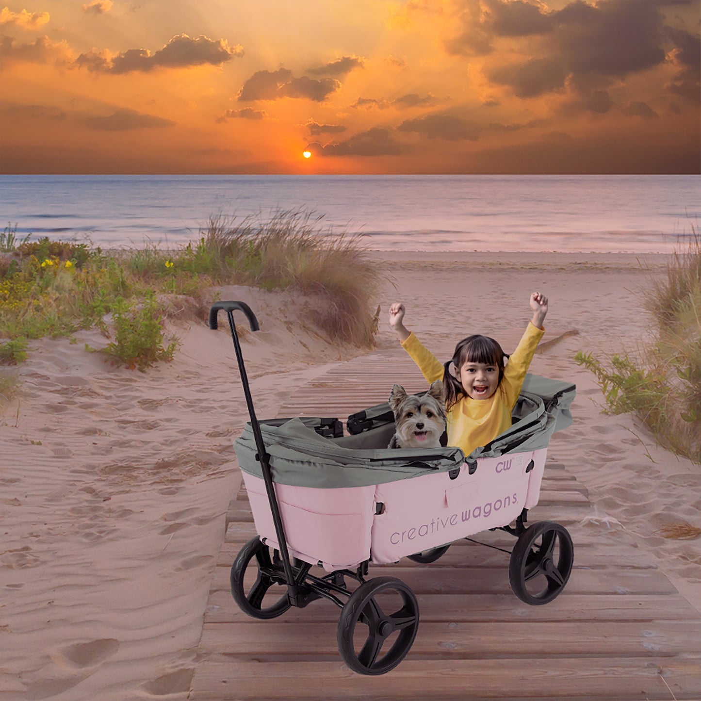 Wagon Buggy | Pink - Custom Folding Wagons