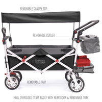 Thumbnail for push-pull-silver-series-plus-folding-wagon-stroller-with-canopy-black