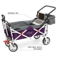 Thumbnail for push-pull-silver-series-plus-folding-wagon-stroller-with-canopy-purple