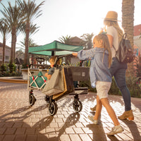 Thumbnail for push-pull-titanium-series-plus-folding-wagon-stroller-with-canopy-teal